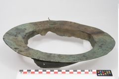 Foto von Bronzebreitrandschale (NHMW-PRAE-025899)